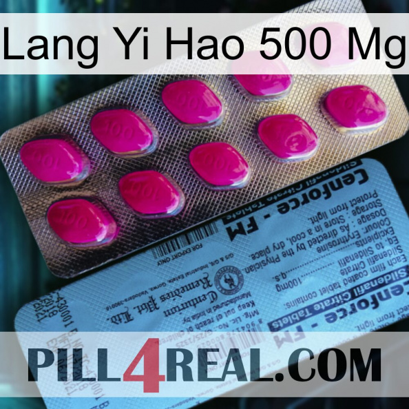 Lang Yi Hao 500 Mg 35.jpg